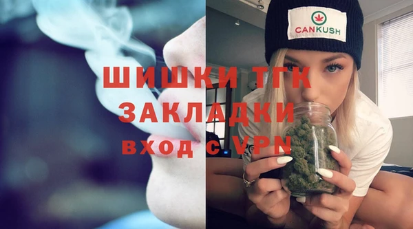 гидра Аша