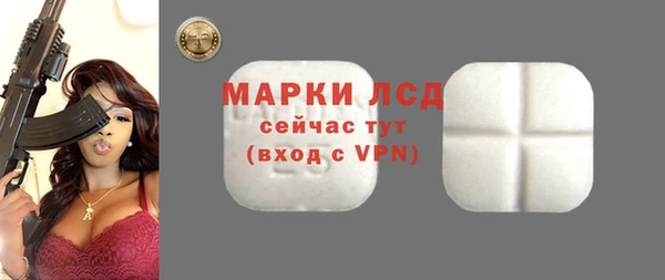 гидра Аша