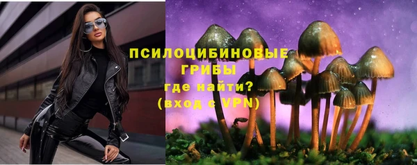 гидра Нефтегорск