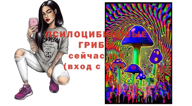 Галлюциногенные грибы Magic Shrooms  Починок 